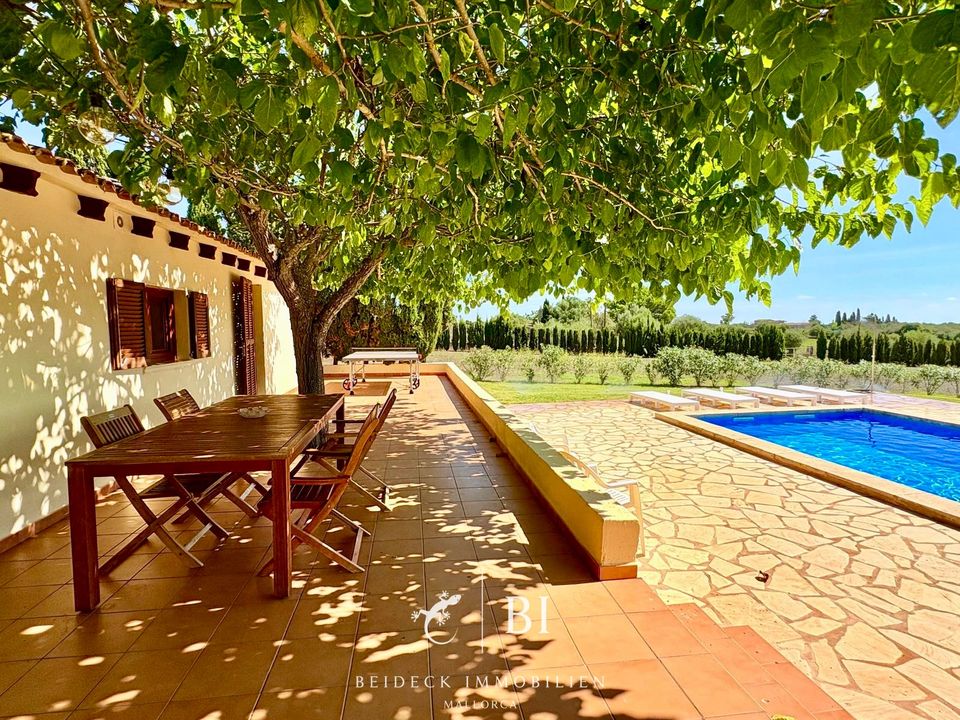 Finca i Porto Cristo, Mallorca - foto 1